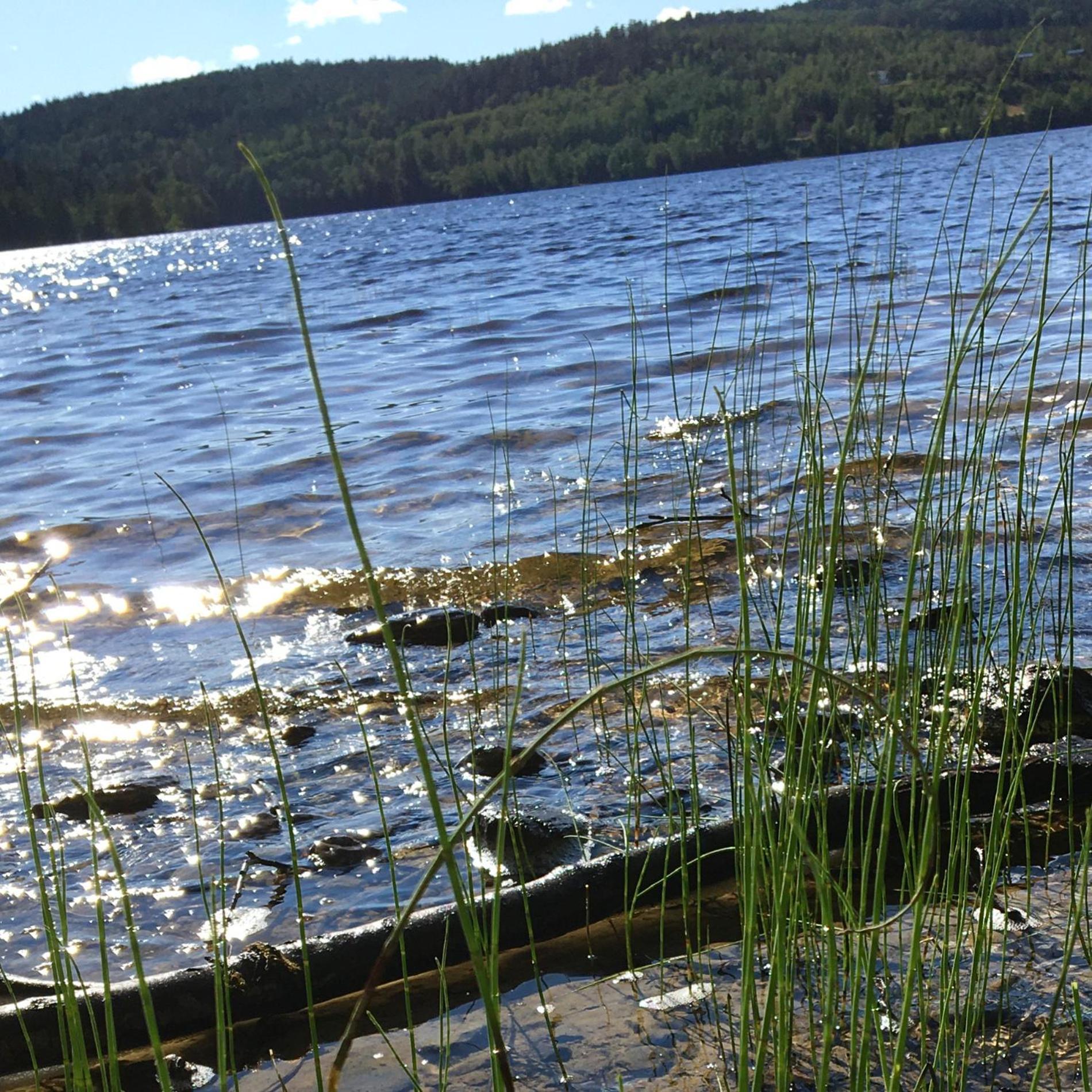 Henneviken Bnb Ed Kültér fotó