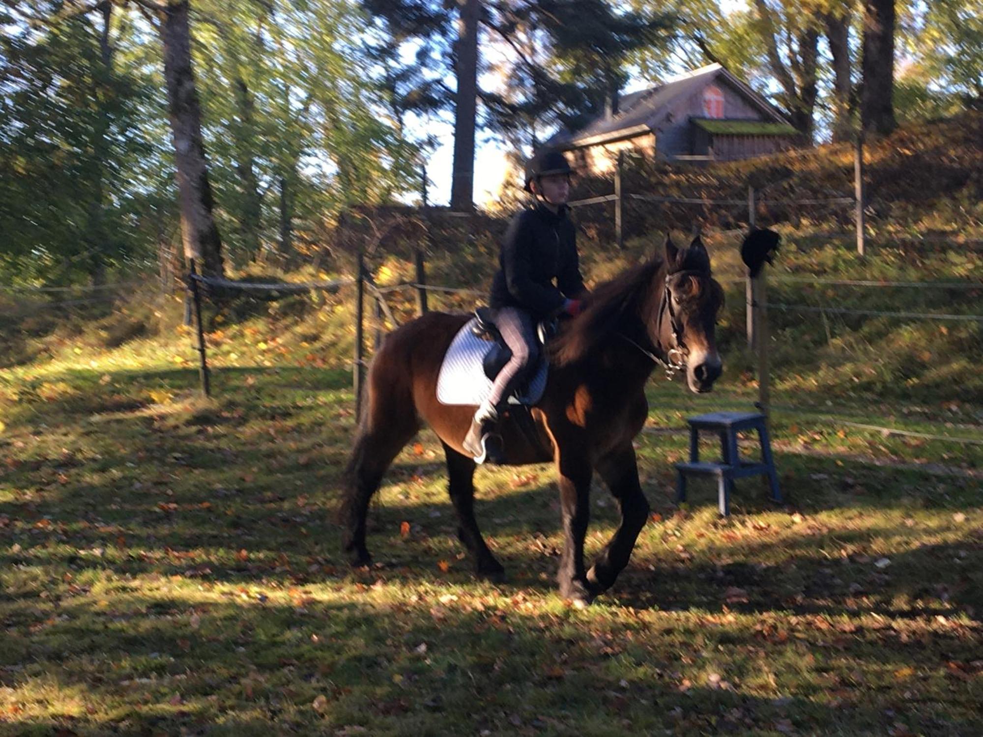 Henneviken Bnb Ed Kültér fotó